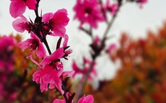 国产强伦姧人妻一区二区